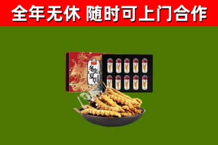和布克赛尔县烟酒回收冬虫夏草礼盒.jpg